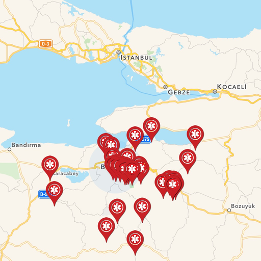 Bursa Nöbetçi Eczaneler app icon