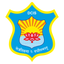 DCIS icon
