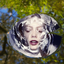 Water Photo Frame - Creative and Effective Frames for your photo icon