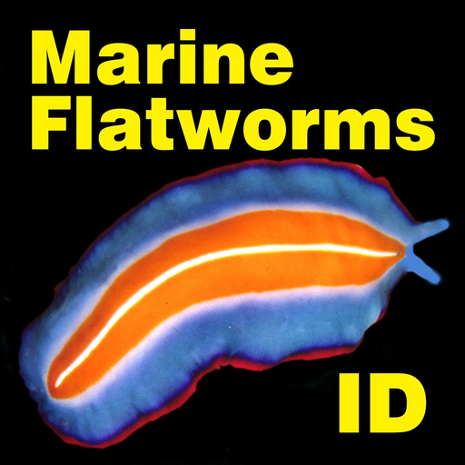 Marine Flatworms ID app icon