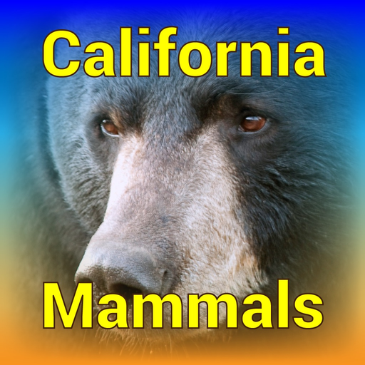California Mammals app icon