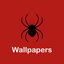 Wallpapers For Spiderman Edition icon