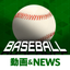 Best guide for Professional baseball icon