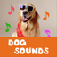 Dog Sounds - Breed, Attention icon