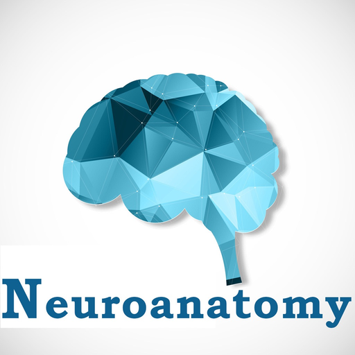 Neuroanatomy Exam Review  :Q&A app icon