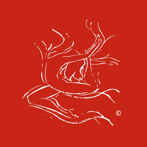 Wichita School of Perf. Arts app icon