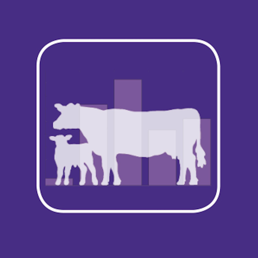 BCI Pregnancy Analytics app icon