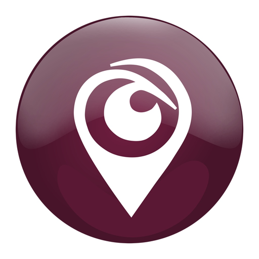 Transight app icon