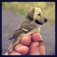 Free Impossible Photos icon