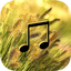 Wind Sounds - Wind Music,Relaxing and Sleep. icon