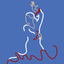 Spanish Verbs Quiz icon
