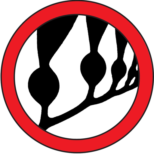 Seaweed Sorter app icon