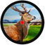 Sniper Deer Bow Hunter Shooting : Beast Jungle Wild Animal Reloaded icon