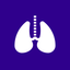 Pulmonary Nodule Risk icon