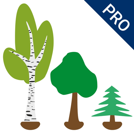 PreNumbers PRO app icon