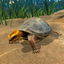 Box Turtle Simulator icon