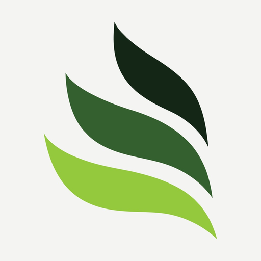 InfoParaguay app icon
