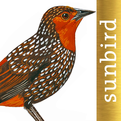 All Birds North. South America app icon