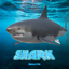 Real Shark Simulator icon