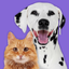 Pet Parade: Cutest Pet Game icon