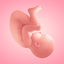 Pregnancy Tracker・App by Moms icon