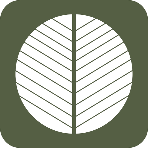 Life Church Wilmington app icon