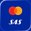 SAS EuroBonus World Mastercard icon