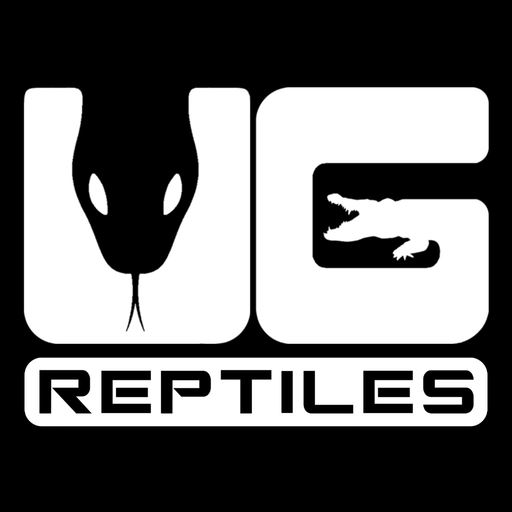 Underground Reptiles app icon