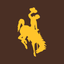 WYO Athletics icon