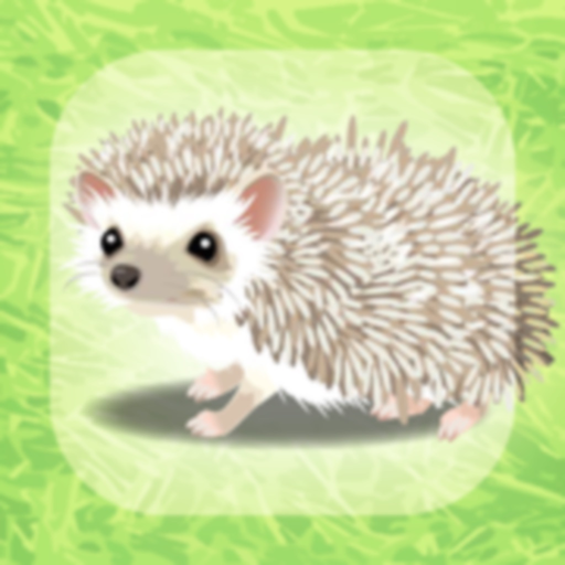 Hedgehog Pet app icon