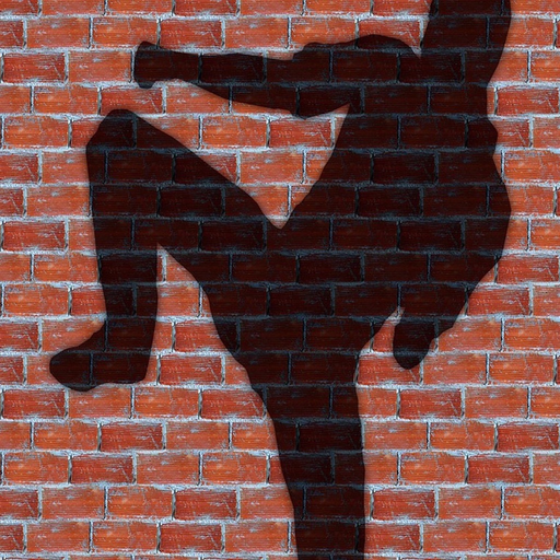 Karate Combo Fighting Workout app icon