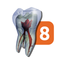 Tooth Atlas 8 icon