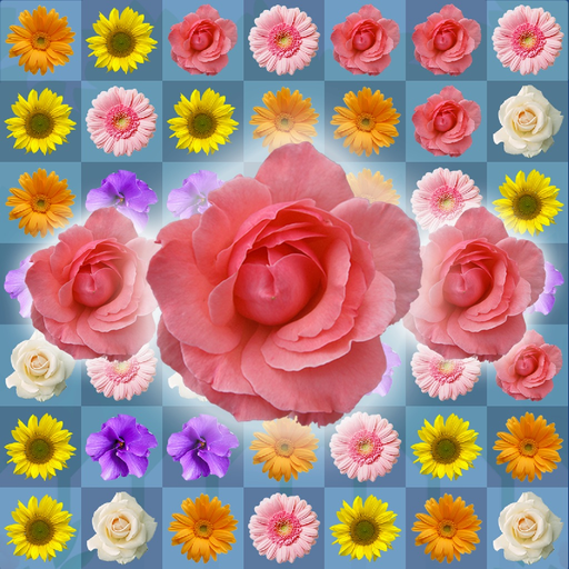 Blossom Link: Flower Connect app icon