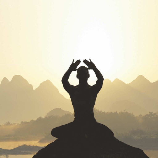 Qigong Workout Challenge Free - Gain longevity app icon