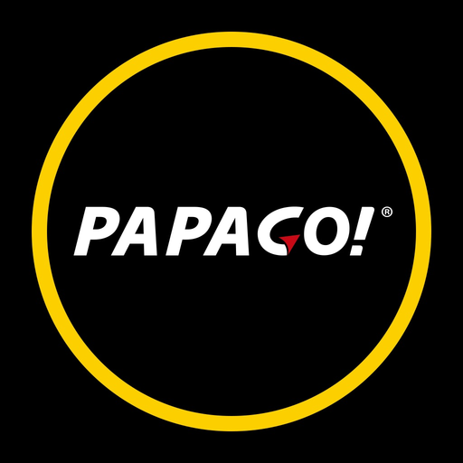 Papago记录仪 app icon