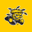 Go Shockers icon