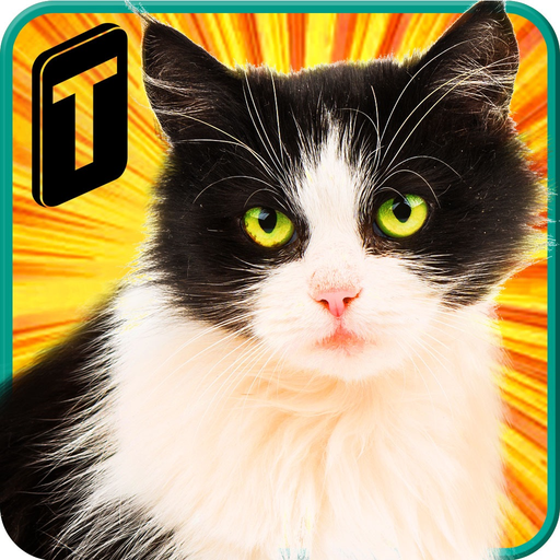 Street Cat Sim 2016 app icon