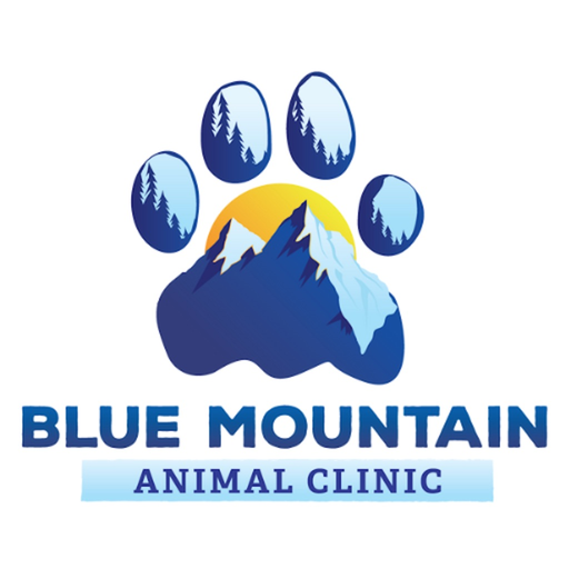 Blue Mountain Vet app icon