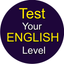 Test Your English. icon