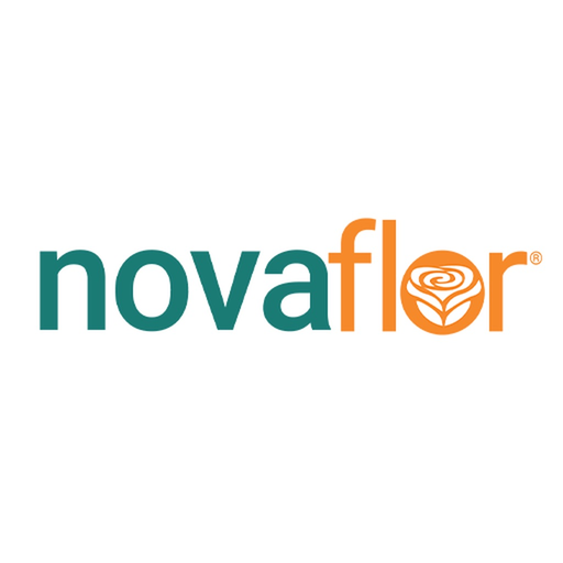 Nova Flor Floricultura Online app icon