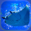 Aquarium Manta Simulation Game icon