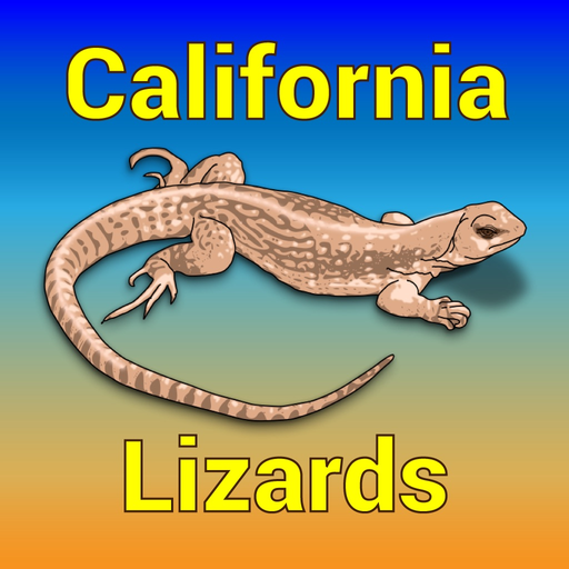 California Lizards app icon