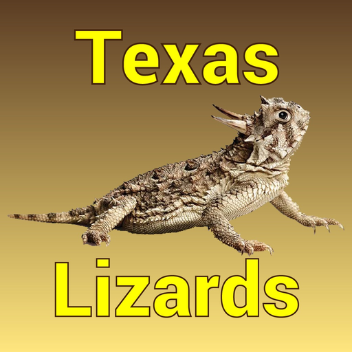 Texas Lizards app icon