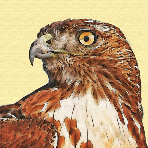 Birds for Words for iMessage app icon