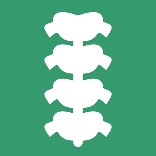INSELhealth - spinal surgery app icon