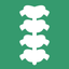 INSELhealth - spinal surgery icon