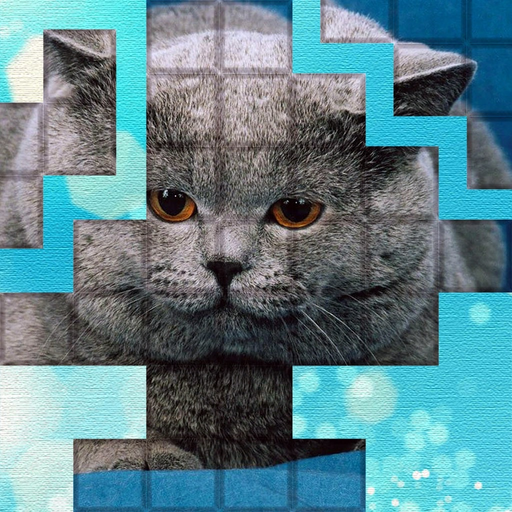 PicPu - Cat Picture Puzzle app icon