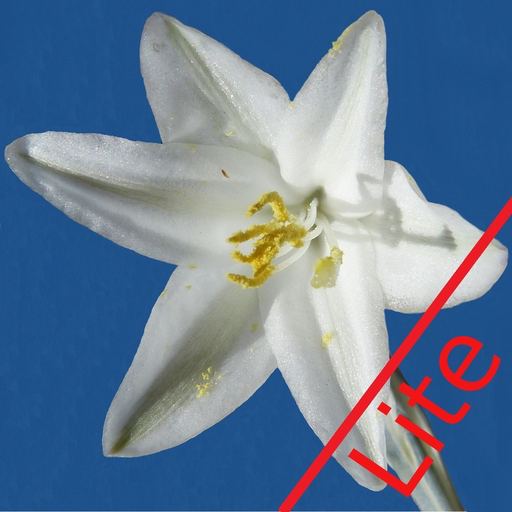 Anza-Borrego Wildflowers Lite app icon