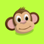 Lazy Jungle icon