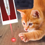 Laser Point For Cat Joke icon
